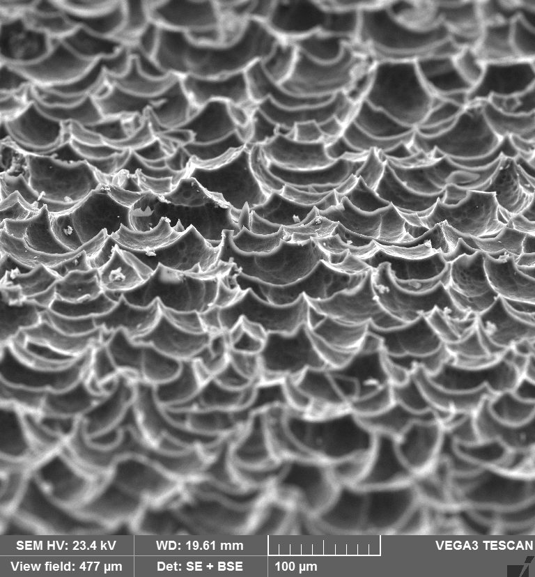 Škrabka na paty - jemnější strana